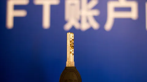 杜马斯：鹈鹕新风貌，不效仿活塞败笔，追求卓越球员心态